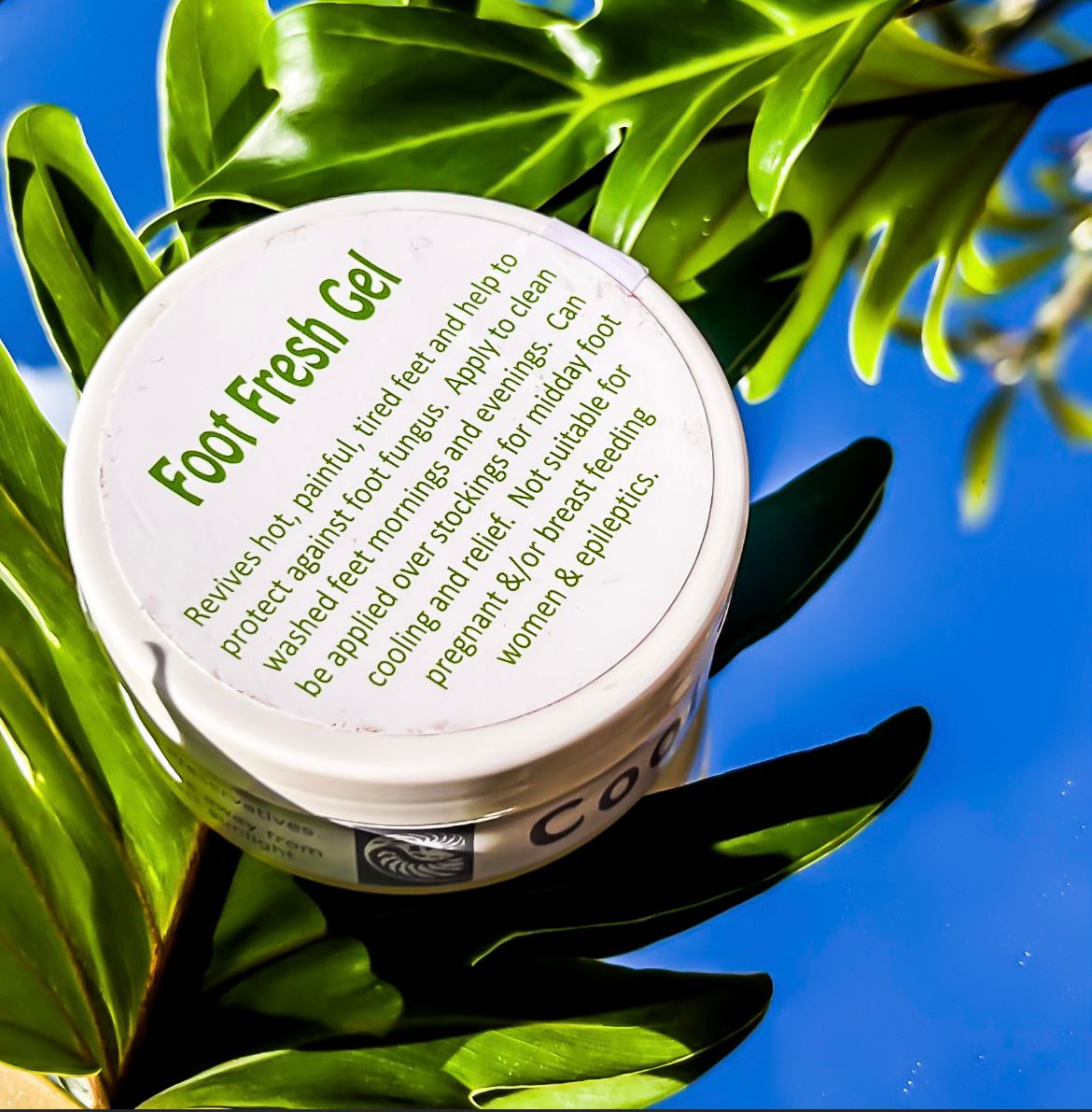 PHOTO-2024-03-04-16-39-54