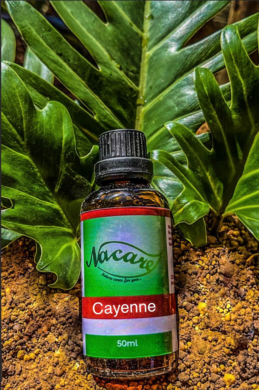 PHOTO-2024-03-04-16-43-17 2