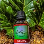 PHOTO-2024-03-04-16-43-18 3