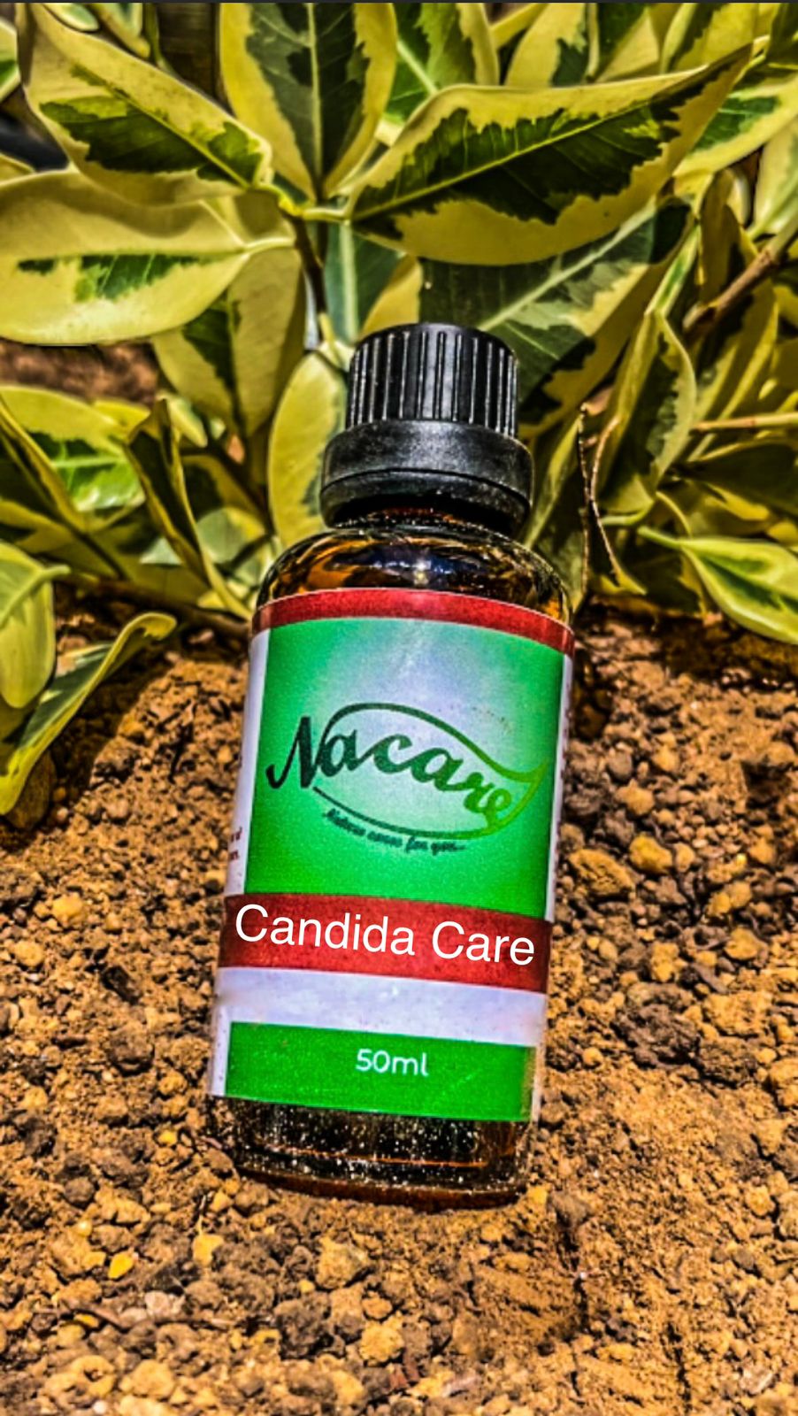 PHOTO-2024-03-04-16-46-36