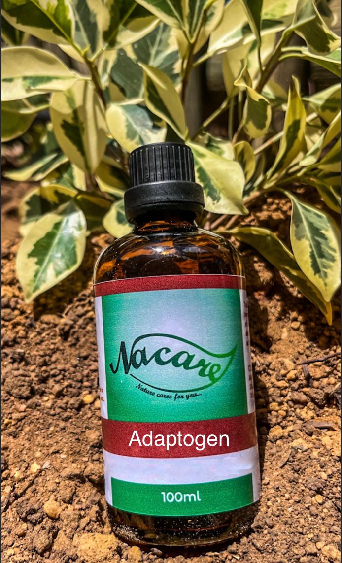 PHOTO-2024-03-04-16-46-37