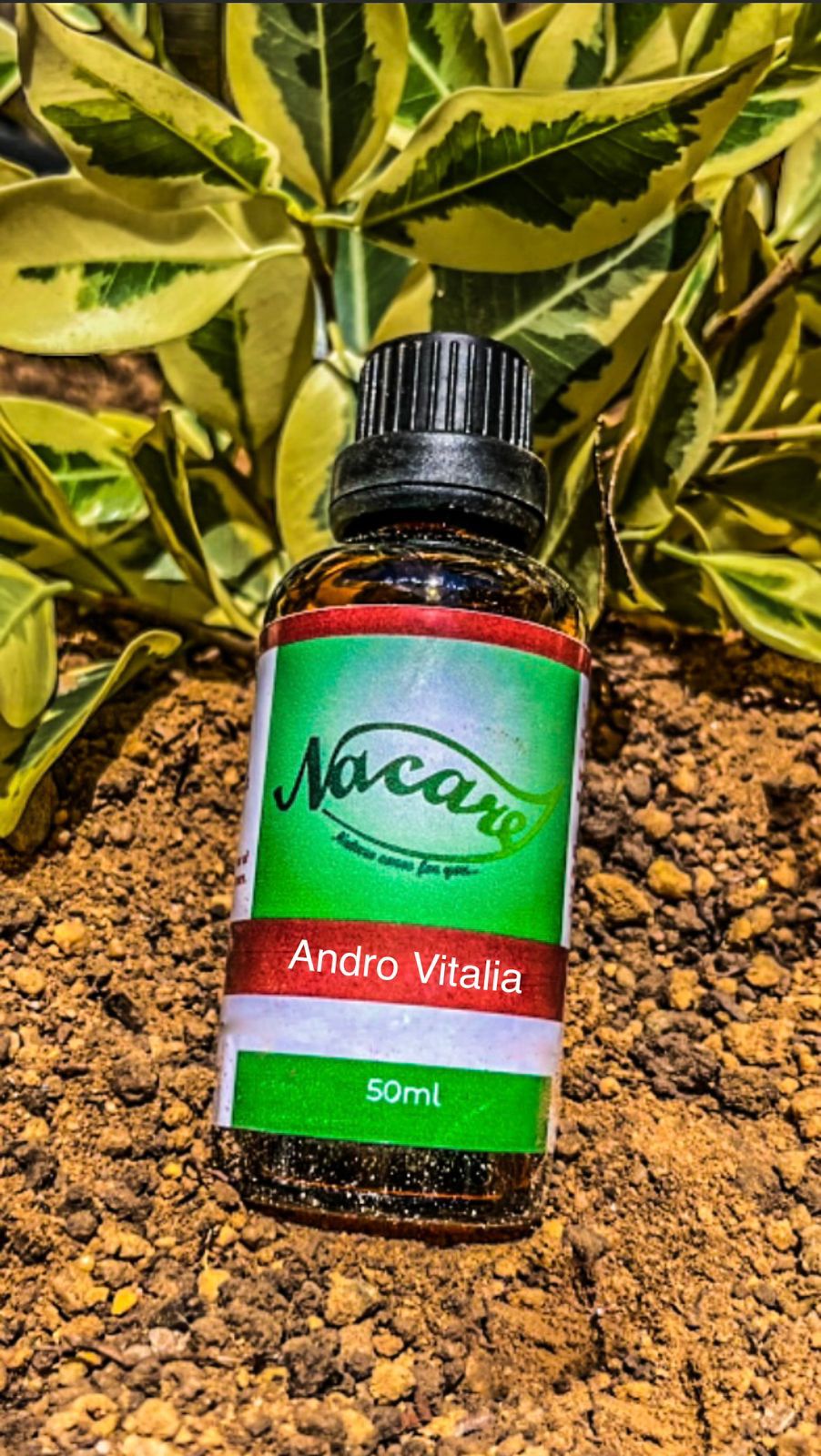 PHOTO-2024-03-04-16-48-56 2