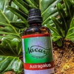 PHOTO-2024-03-04-16-49-48 4