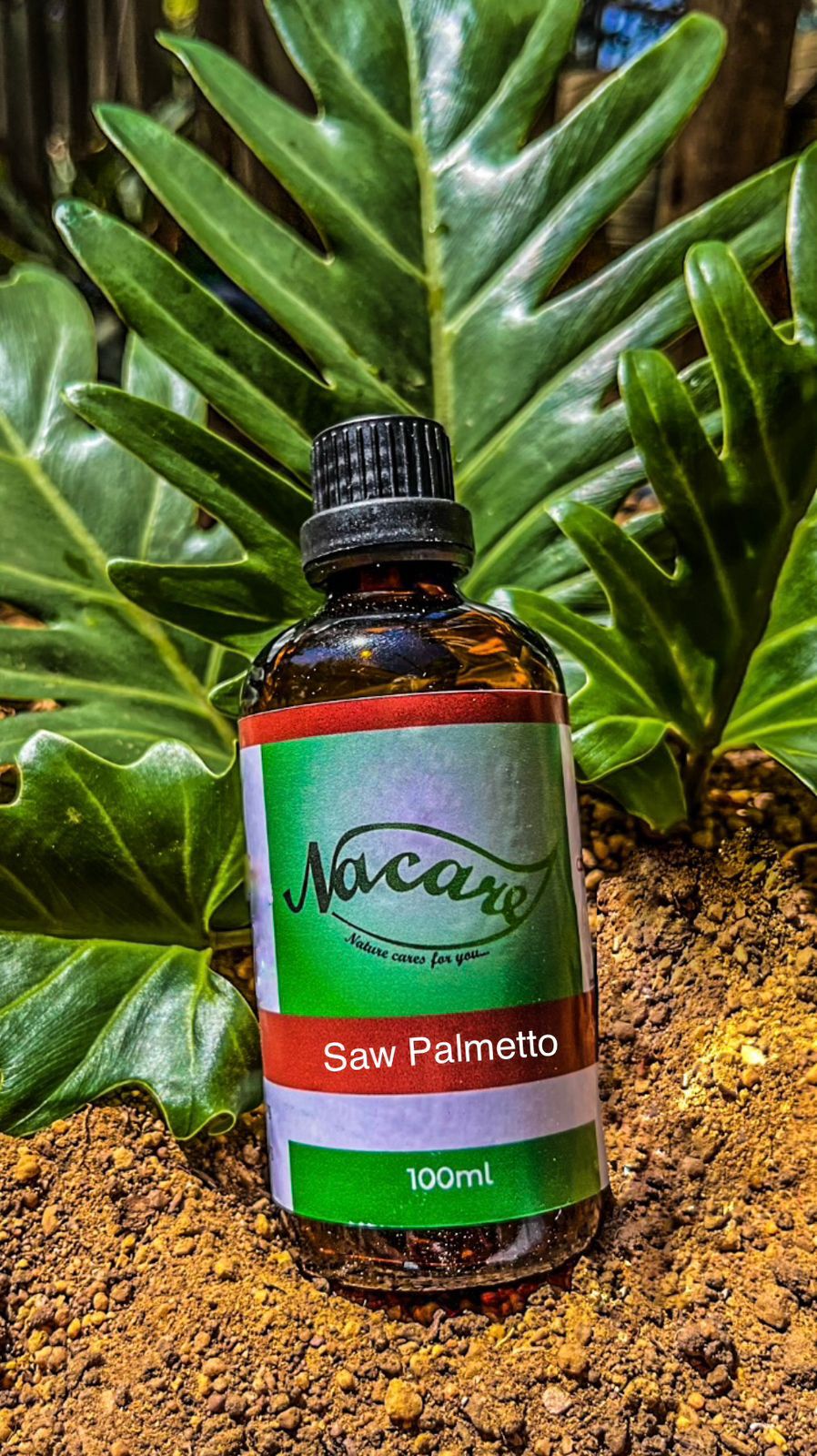 PHOTO-2024-03-04-16-49-56