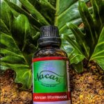 PHOTO-2024-03-04-16-50-23 4