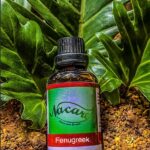 PHOTO-2024-03-04-16-50-42 2