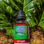 PHOTO-2024-03-04-16-50-44 2