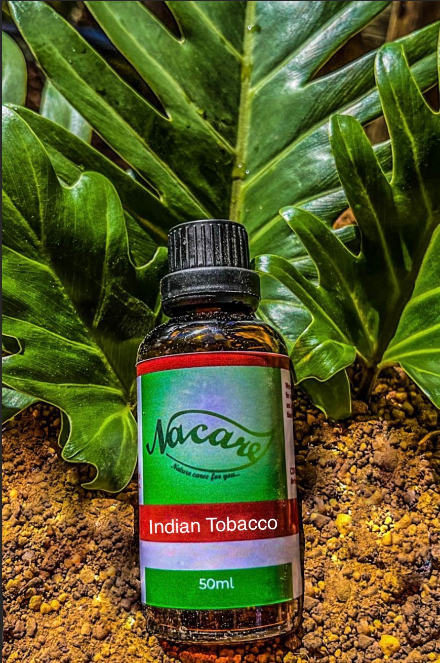 PHOTO-2024-03-04-16-50-46 4