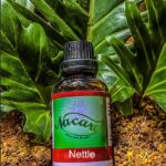 PHOTO-2024-03-04-16-50-48 2