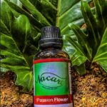 PHOTO-2024-03-04-16-50-49 2