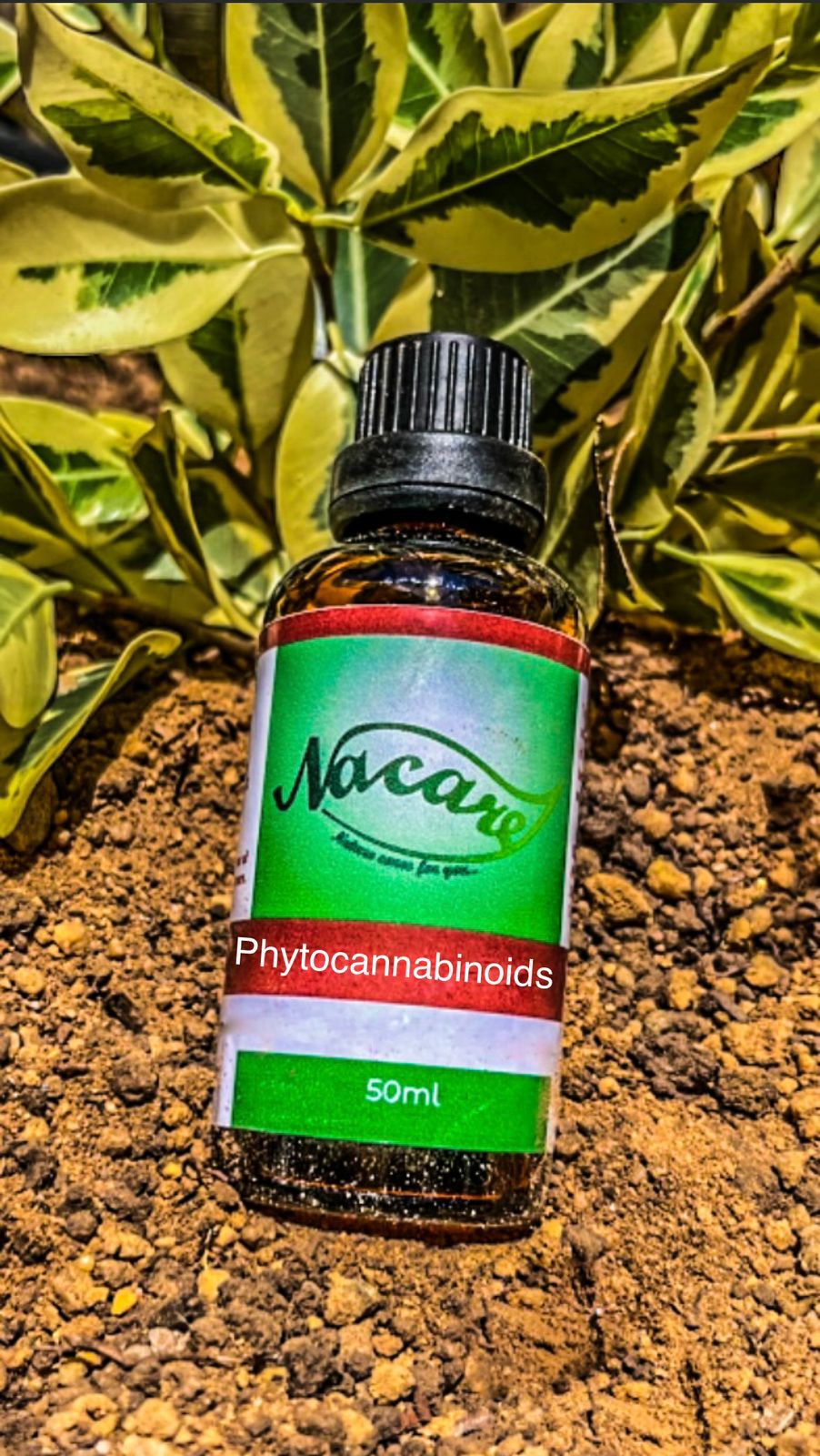 PHOTO-2024-03-04-16-48-50 3